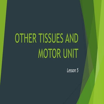 Lesson 6 (Other Tissues and Motor Unit).pptx