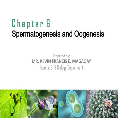 Lesson 6 Spermatogenesis and Oogenesis