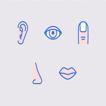 The Five Senses that represents your Body.pptx