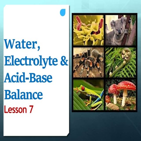 The functions of Water | PPTX