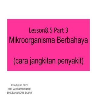 Lesson 8.5 part 3