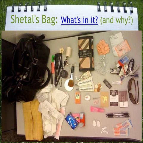 What's in Shetal's Bag? Annotated Bibliographies -- History 12 2012-13