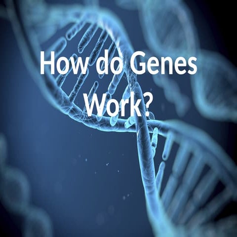 LESSON 8 (WEEK 4).pptx. Genetic Engineering