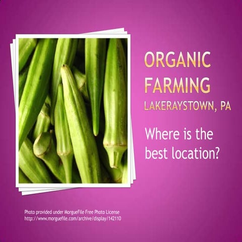 Geog487 - Final Project