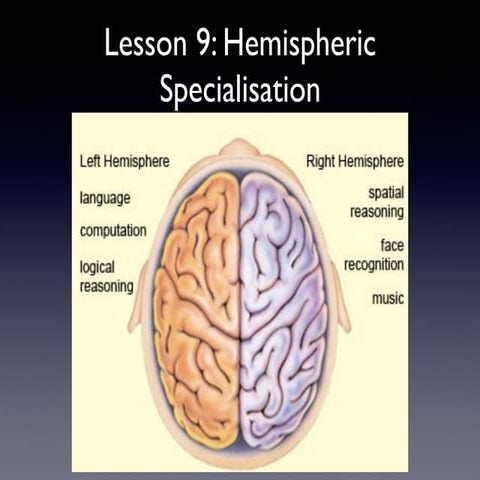 Rigth and Left Hemispheres | PDF