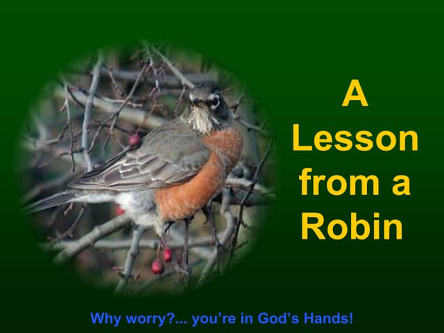 Lesson From Robin