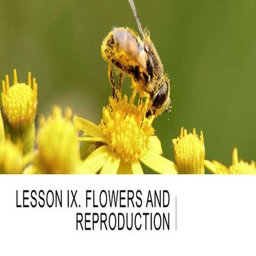 Flowers and Reproduction................ | PPTX