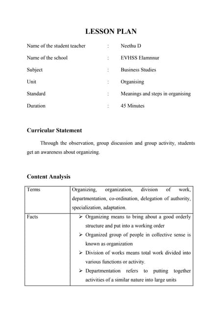 INNOVATIVE LESSON PLAN BEd | PDF