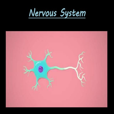 LESSON PLAN - nervous system | PDF