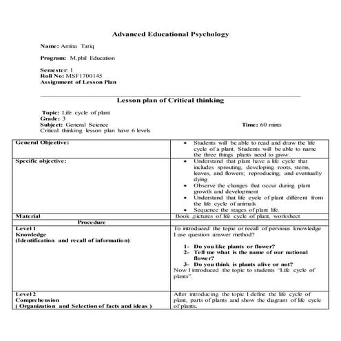 Lesson plan assignment