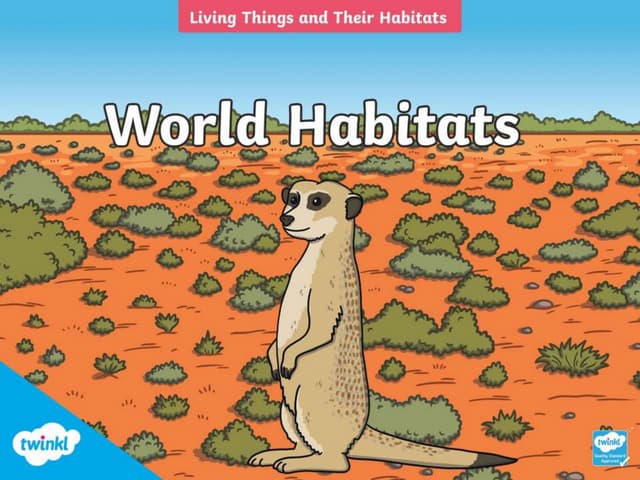 World Habitats