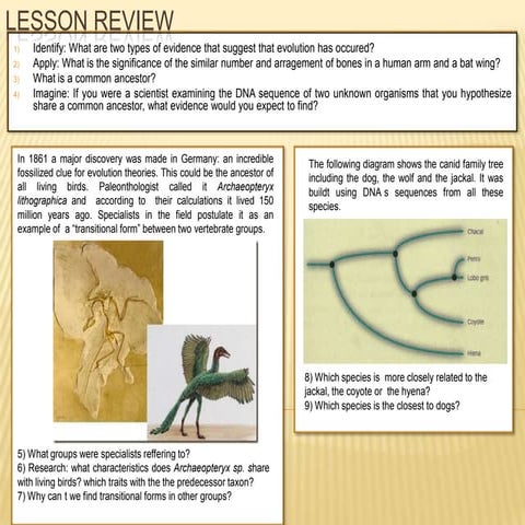 Lesson review