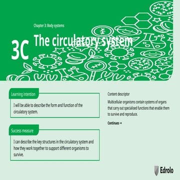 Lesson_slides__3C_The_circulatory_system_Vic_8.4__Edrolo.pptx