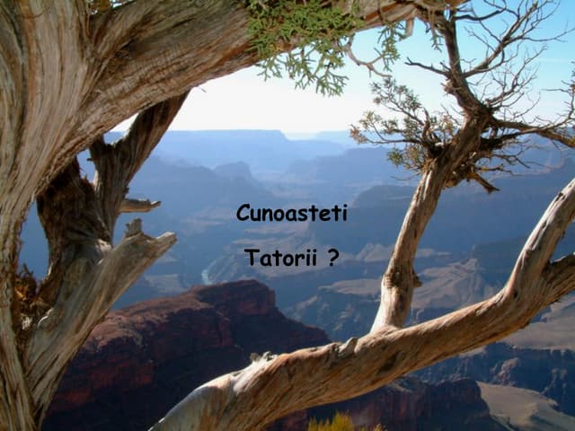 Les Tatorii