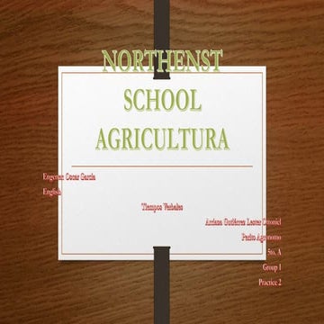 Lester arriaza  practica #2- grupo #1