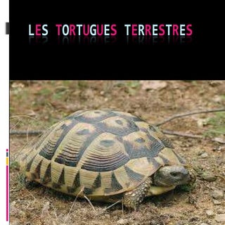 Les tortugues terrestres