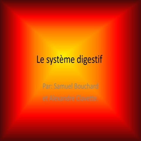 Le système digestif