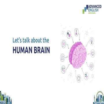 Let_39_s_talk_about_the_human_brain.pdf