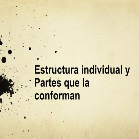 Letra estructura individual y partes que la conforman