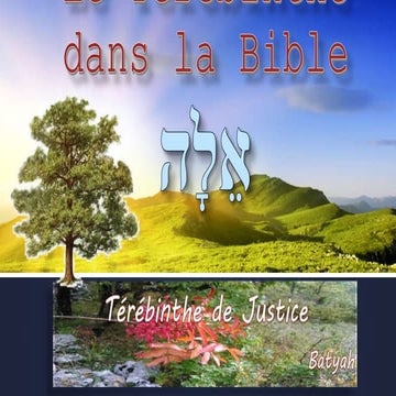 le-t-r-binthe-dans-la-bible