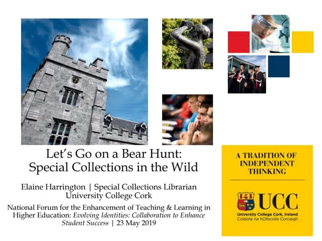 Let's go on a bear hunt:  special collections in the wild / Elaine Harrington