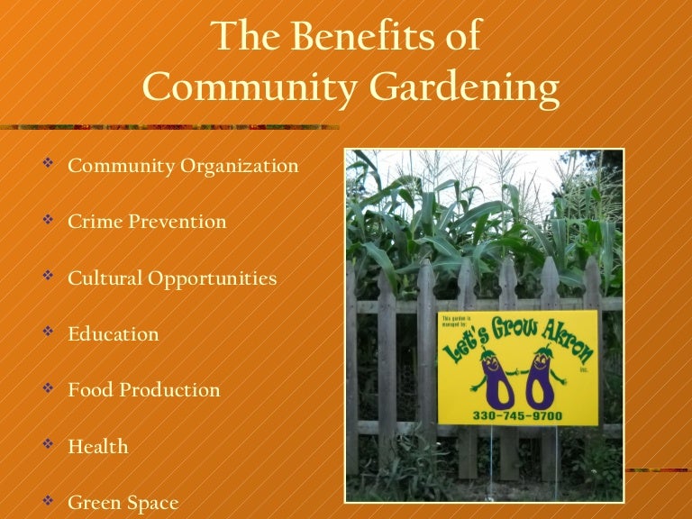 benefits-of-community-garden-2010