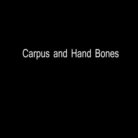 Slideshow: Carpus and Hand Bones