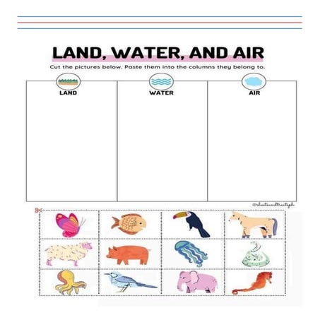 Random Worksheeetssss................... | PDF