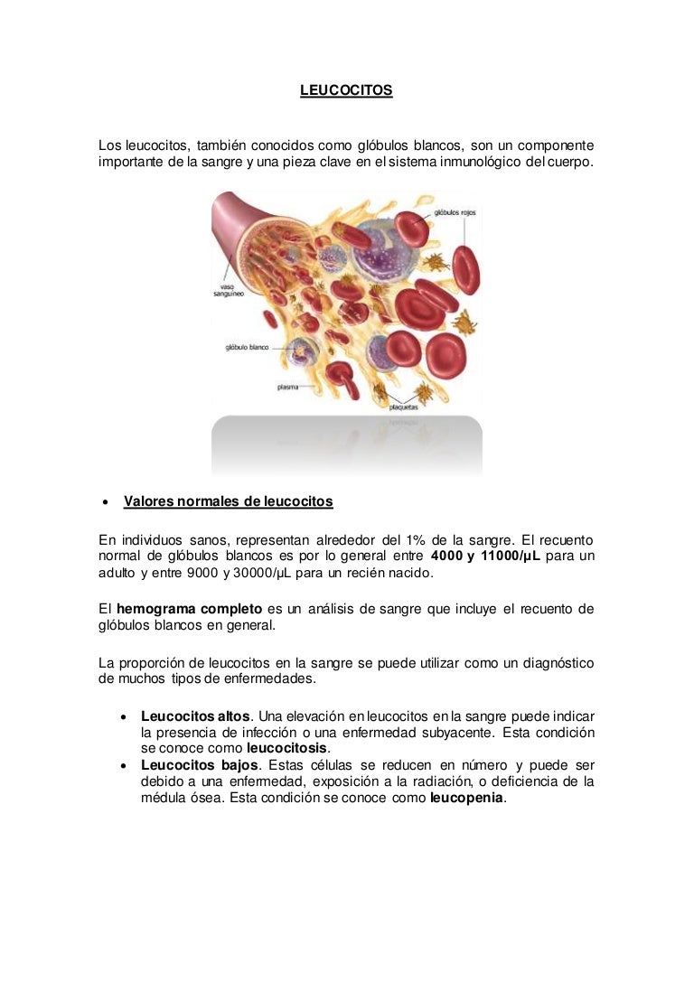 valores normales de globulos blancos bajos