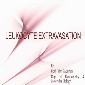 Leukocyte extravasation