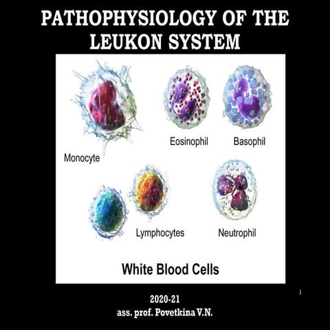 Interpreting the Leukotrienes ( how it form and mechanisms, role in the body
