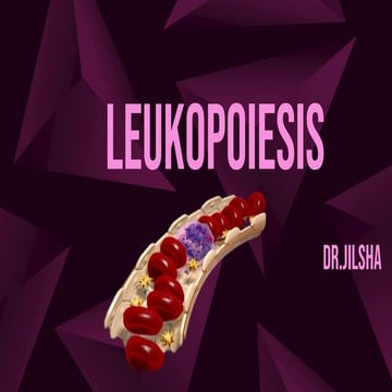 Leukopoiesis