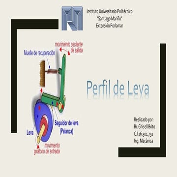MECANISMOS DE TRANSMISION LEVAS GRAFICO.pdf