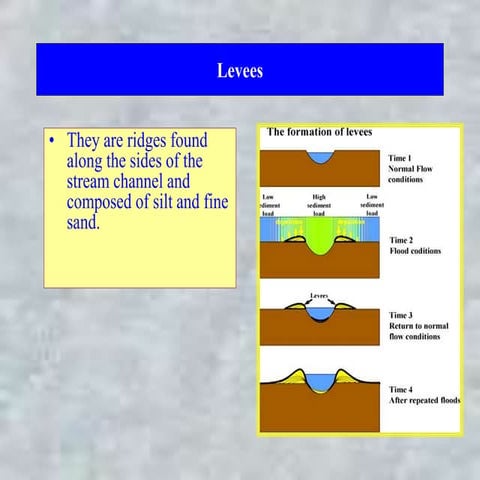 Levees.ppt