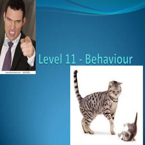 Level 11   behaviour