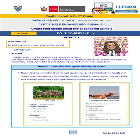 Level a2  DO IT YOURSELF