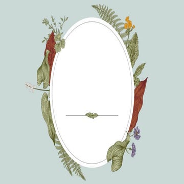 Level and kinds of media effect.pptx