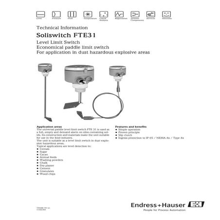 Level Limit Switch-Soliswitch FTE31