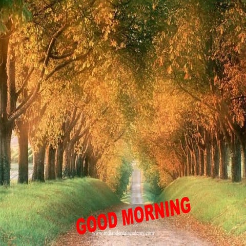 Levelling and aligning in orthodontics /certified fixed orthodontic courses b...