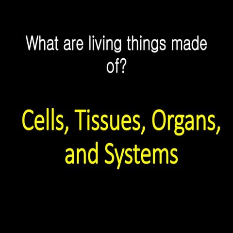 level of organization (science biology) .ppt