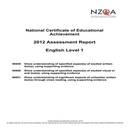Level one assessment report