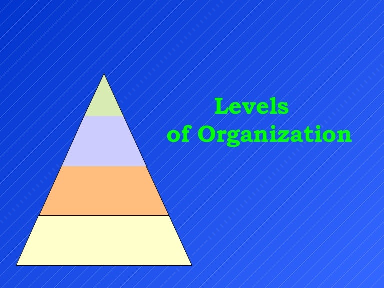 Levels Of Organization