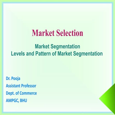 Levels and Pattern of Market Segmentation