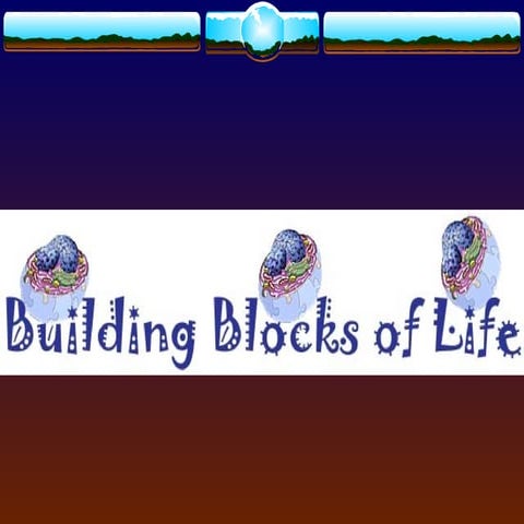 Levels of biological organization