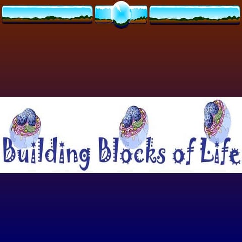 levelsofbiologicalorganization-160210223046 (1).ppt