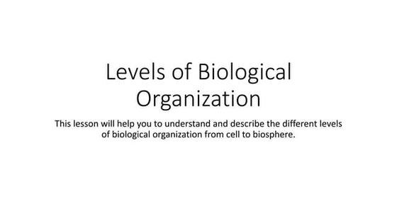 Levels of organization | PPT