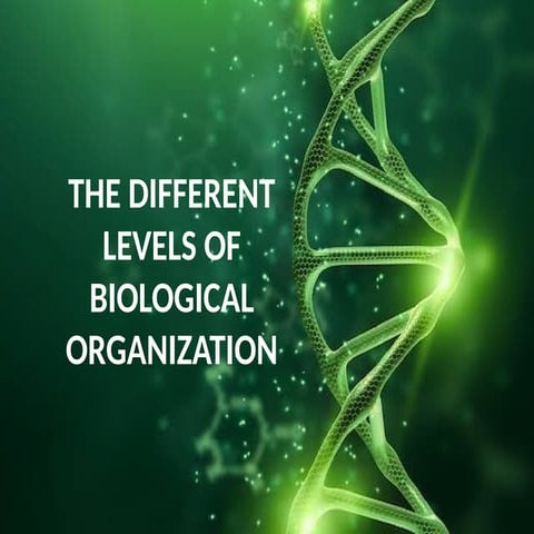 LEVELS OF BIOLOGICAL ORGANIZATION - SCIENCE.pptx