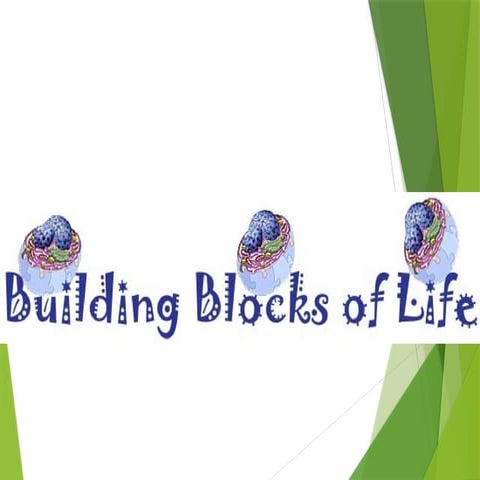 Levels of biological organization...pptx