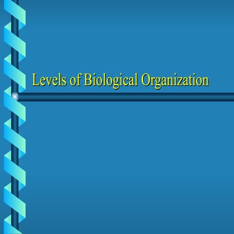 LevelsofBiologicalOrganization_097667701.ppt