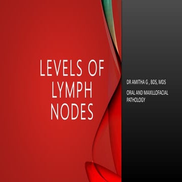 Levels of Lymph Nodes